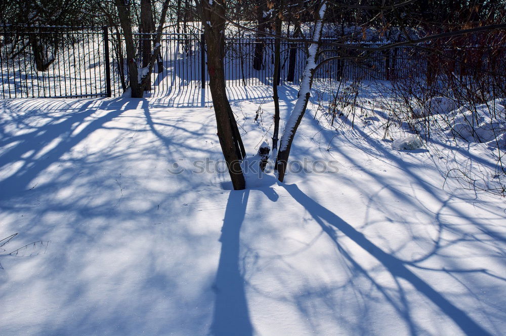 Similar – Image, Stock Photo shadow production plant