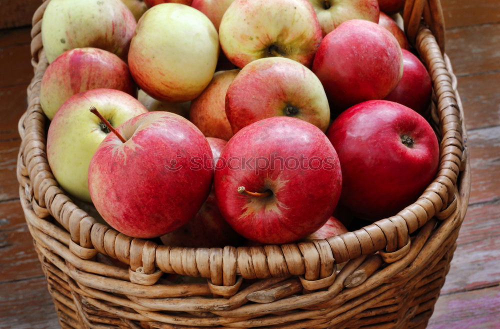 Image, Stock Photo apple harvest Fruit Apple