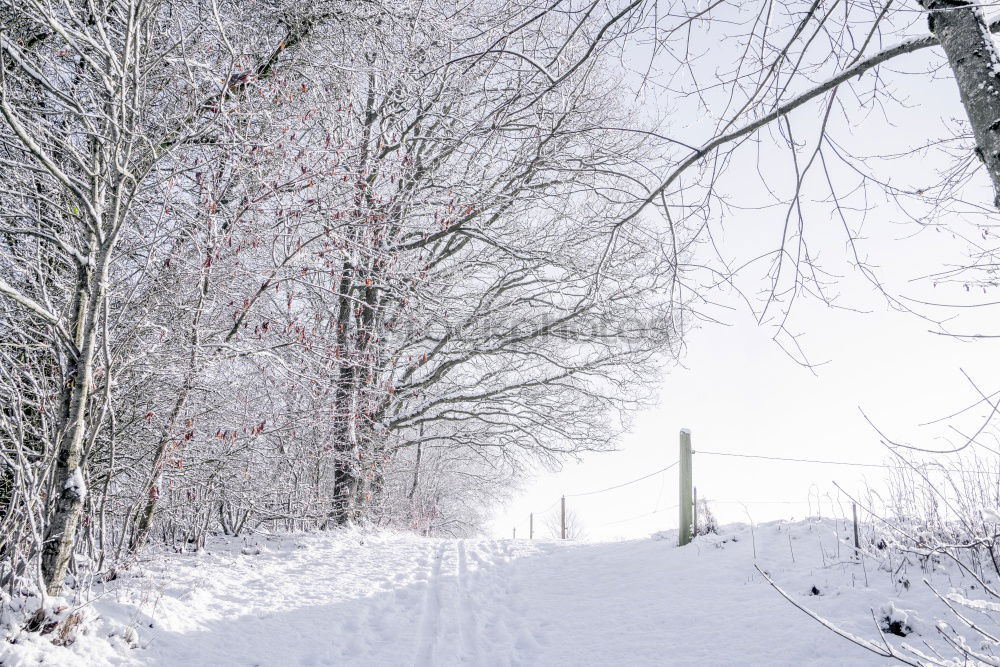 Similar – Foto Bild freizeitbetätigung Winter