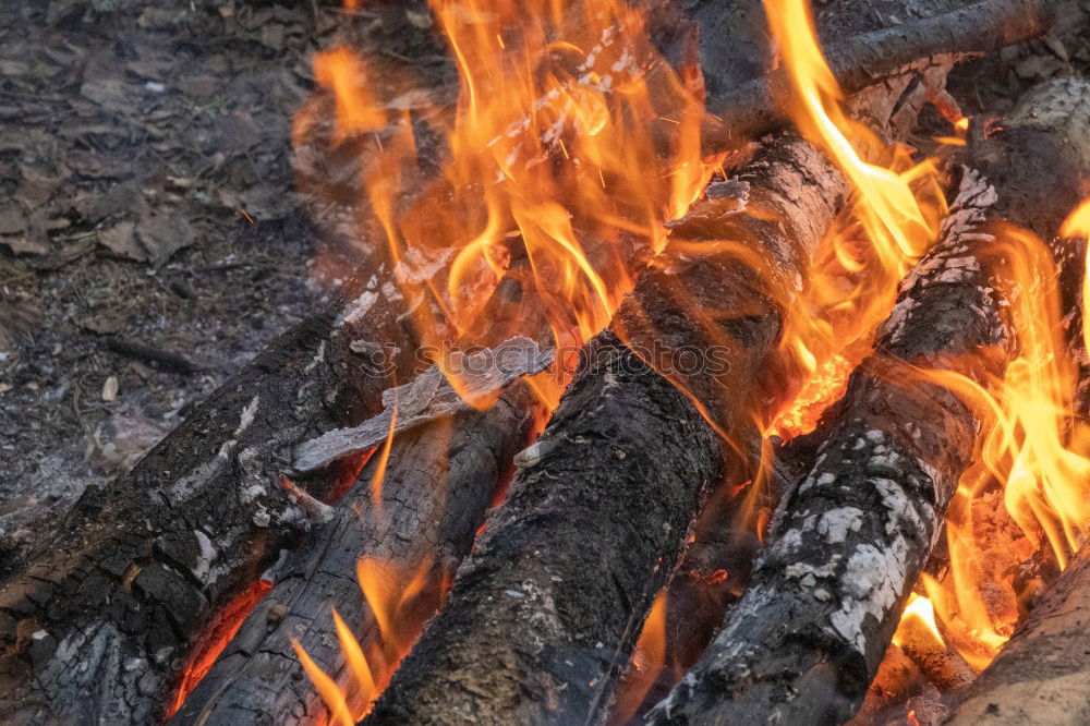 Similar – Image, Stock Photo fiery Match Blaze Ignite