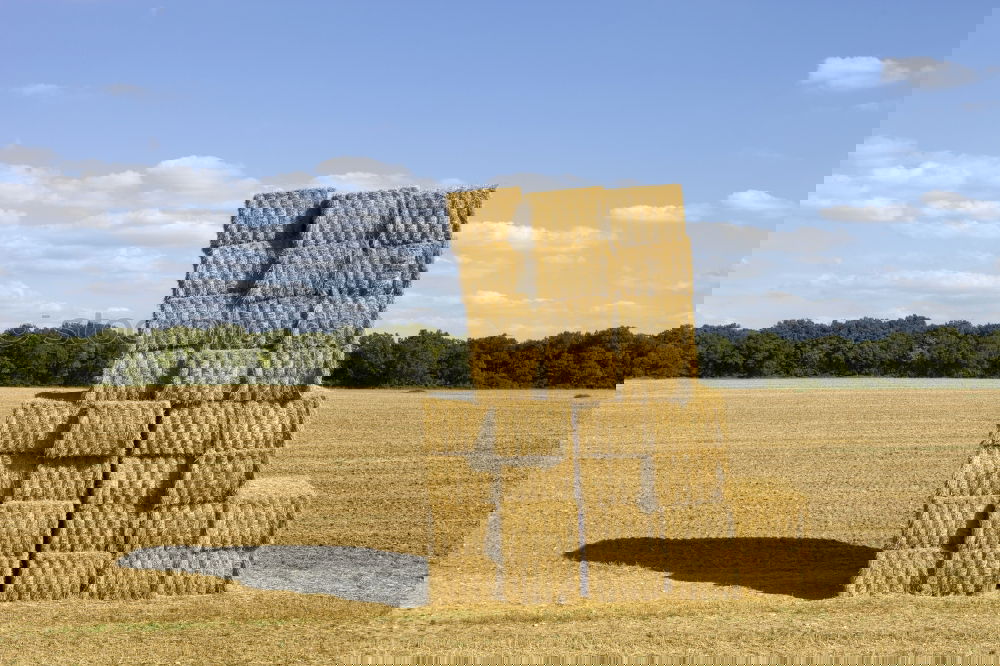 Similar – Foto Bild Donkey Kong Heuballen Feld