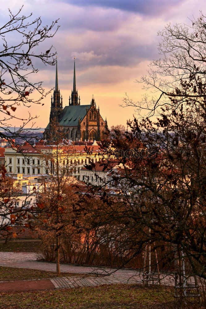 Similar – Image, Stock Photo resin Wernigerode Germany