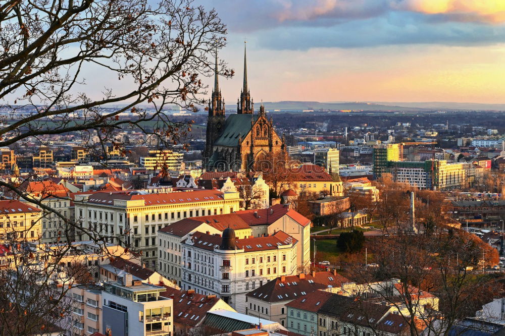 Similar – Image, Stock Photo View over the roofs of Graz