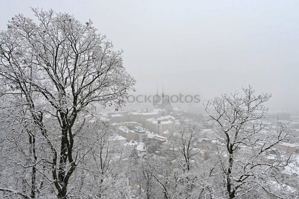 Similar – Image, Stock Photo Snow drift in Fulda
