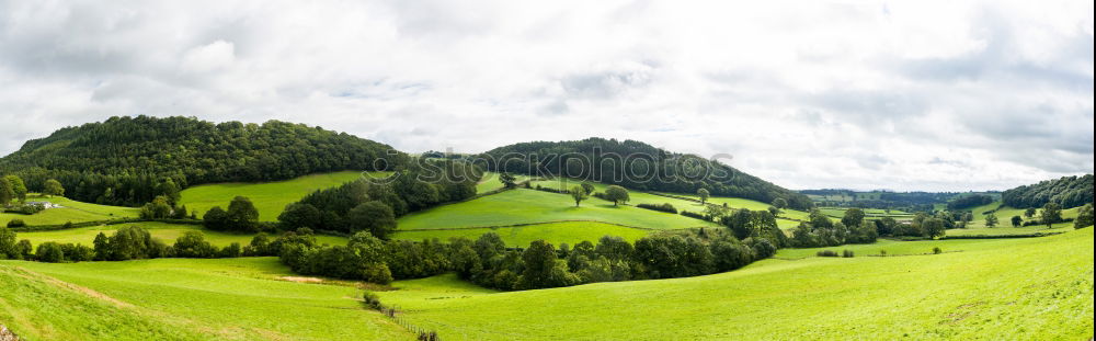 Similar – Misty hill Hill Fog Green