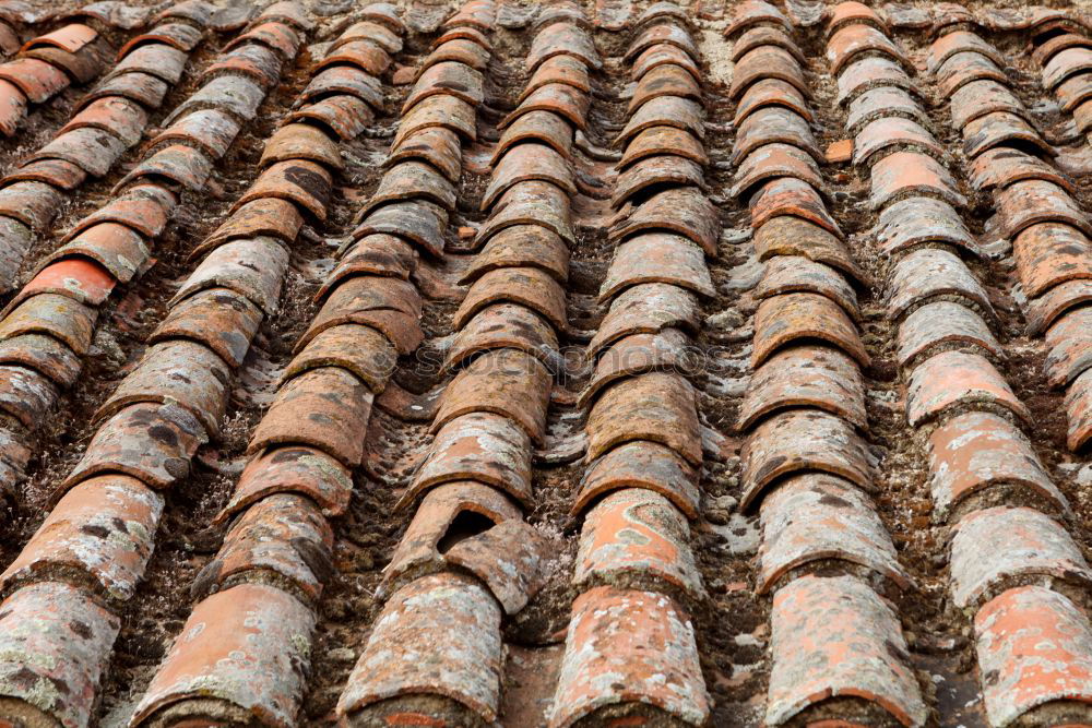 Similar – Close-up roof tile texture