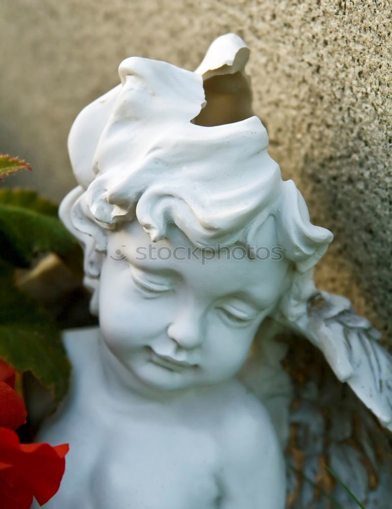 Similar – Image, Stock Photo cemetery angel Sculpture
