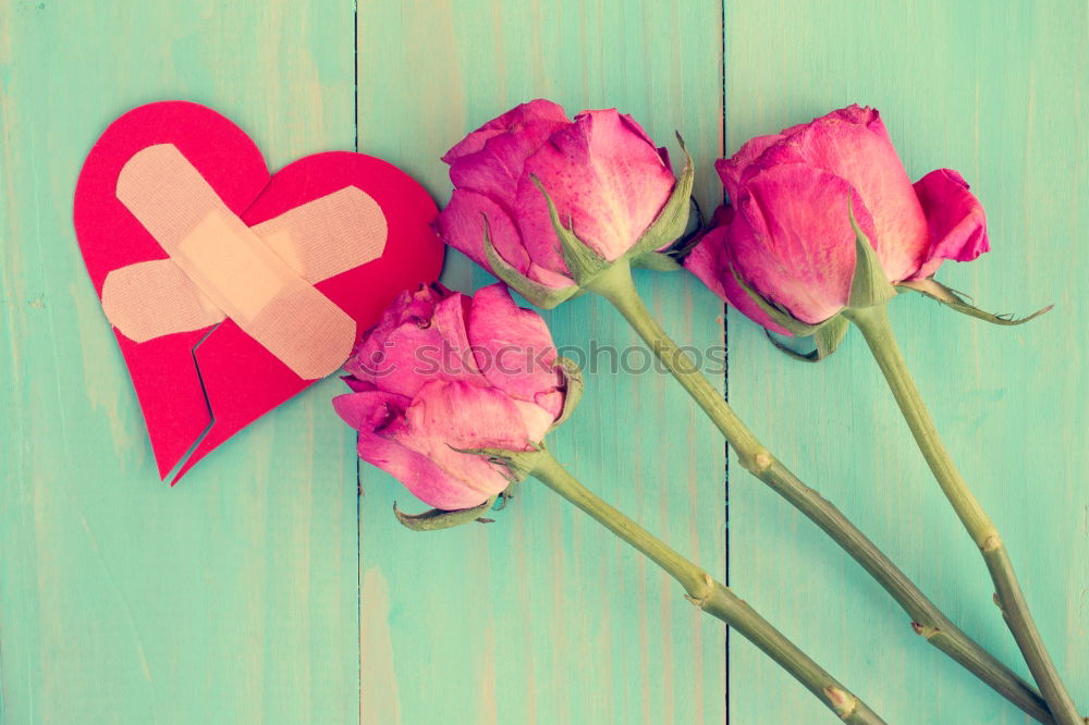 Similar – Image, Stock Photo Blue wooden table with flowers, ribbon and old scissors