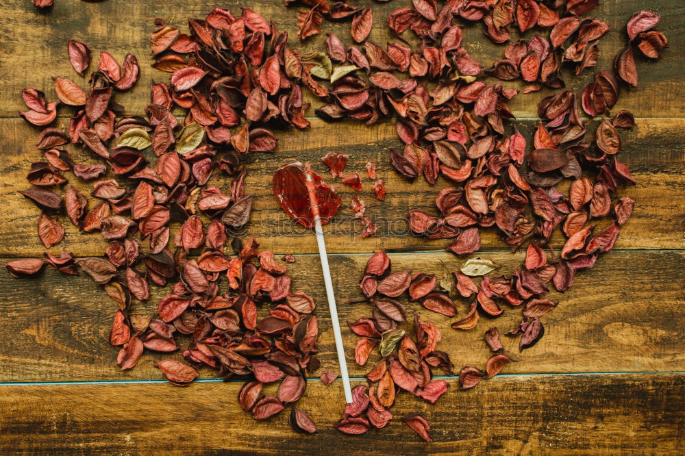 Similar – Image, Stock Photo Beautiful heart maked with dry petals