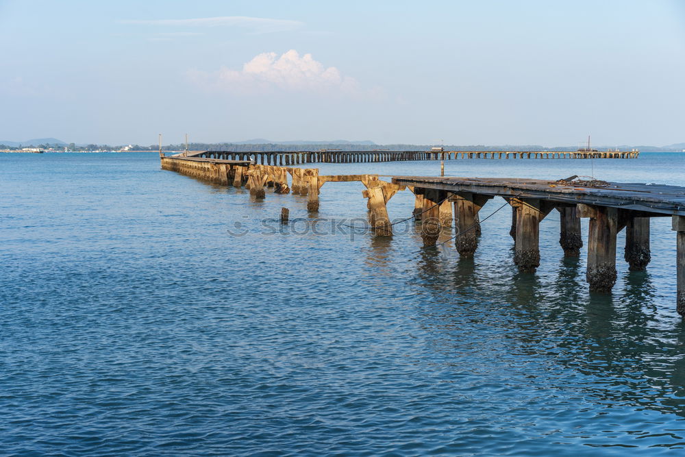 Similar – Seagulls circle over groynes at the Baltic Sea beach