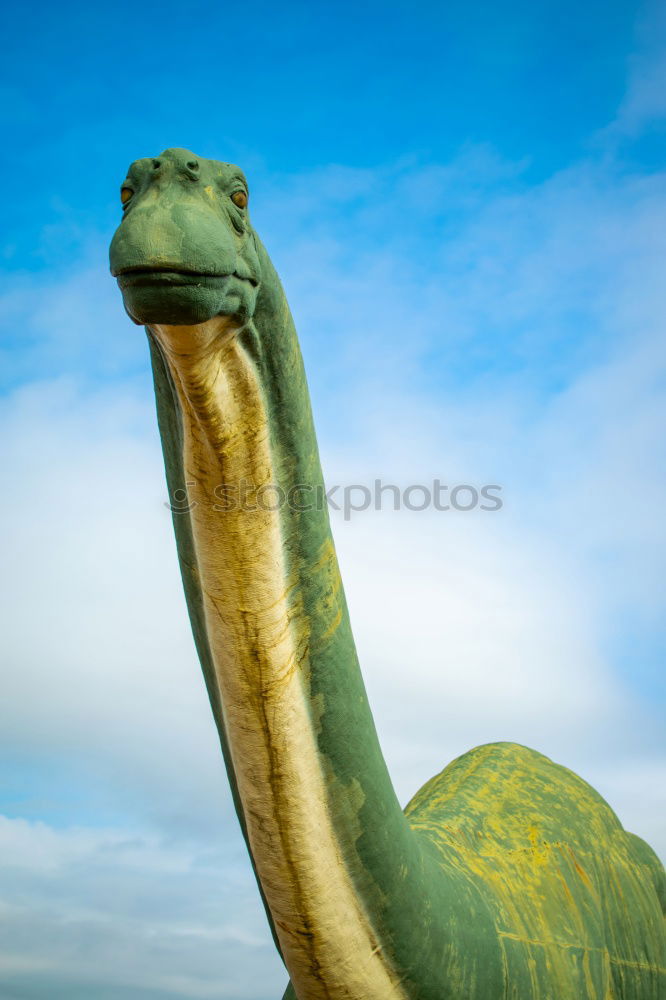 Similar – Image, Stock Photo Marlene likes carrots