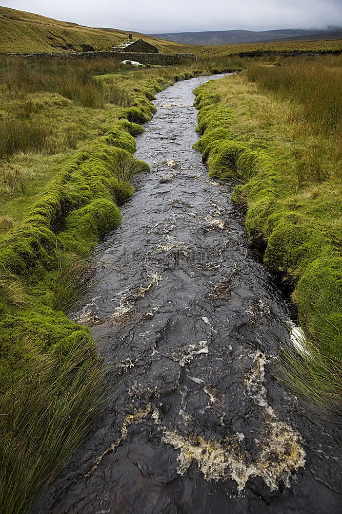 Similar – Image, Stock Photo Hello Iceland Relaxation