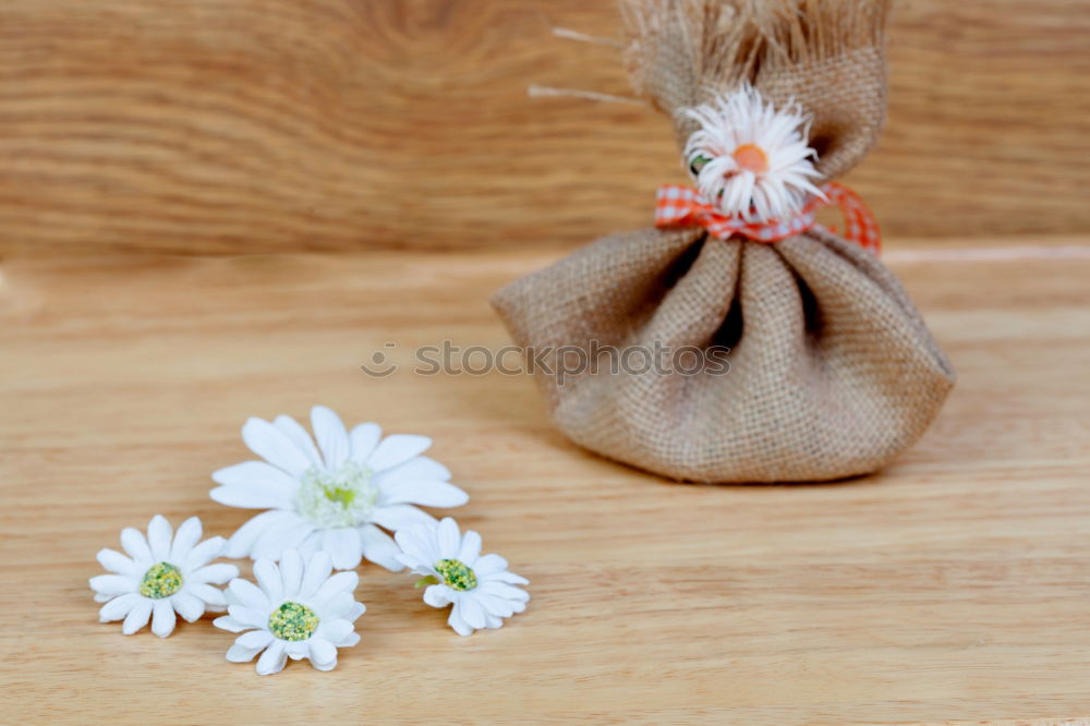 Similar – Image, Stock Photo Holding flowers with hands