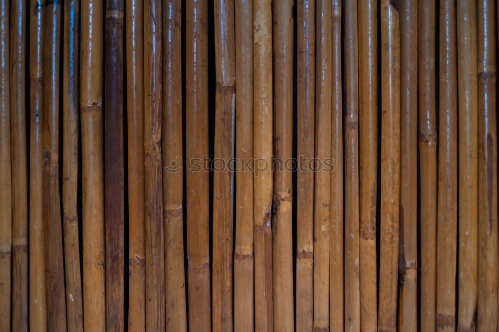 Similar – Image, Stock Photo Light and shadow Roof