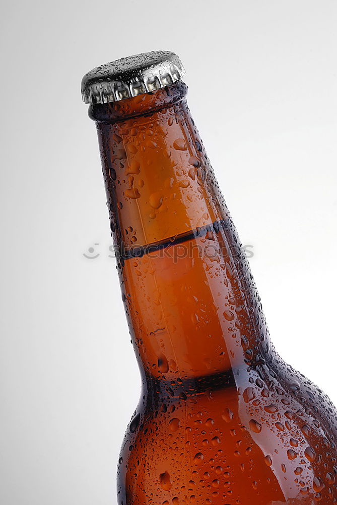 Similar – Female friends cheers clinking bottles of beer in hands.