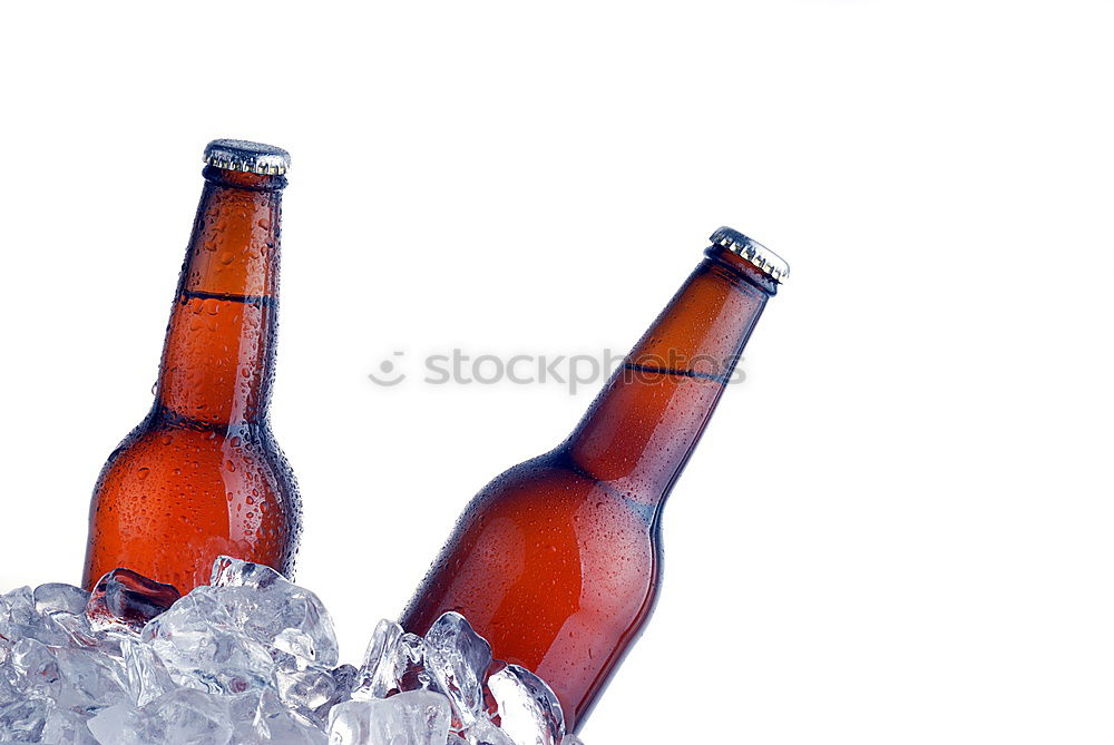 Similar – Female friends cheers clinking bottles of beer in hands.