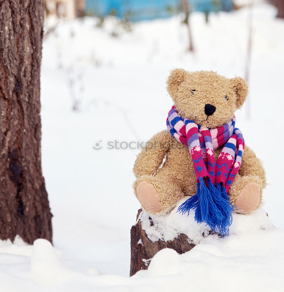 old teddy bear in a scarf sits on white snow