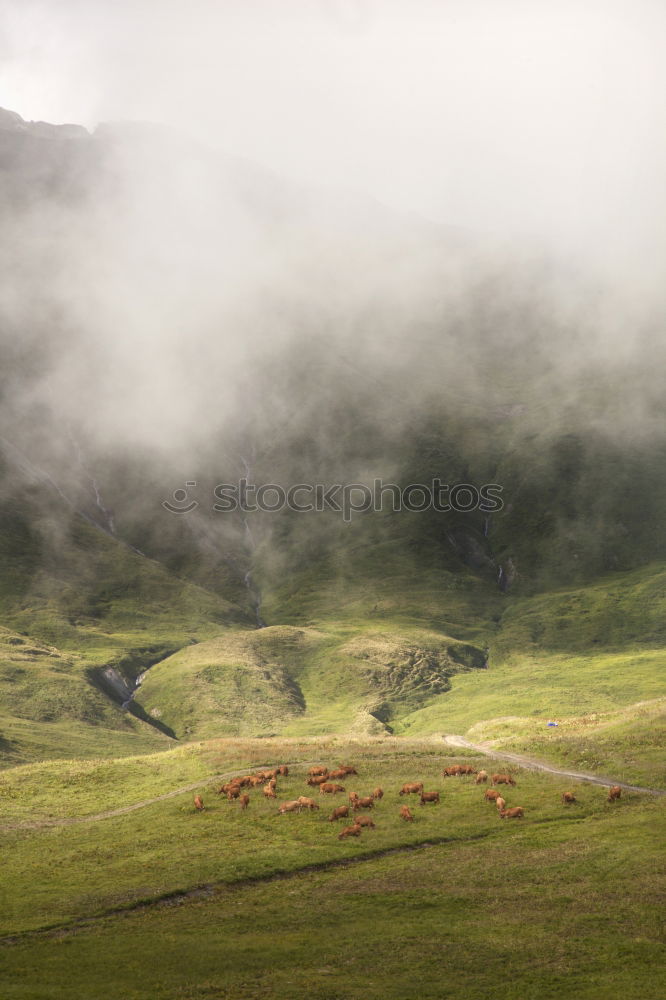 Similar – Scottish Highlands Landscape