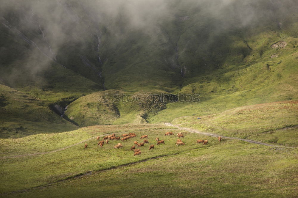 Similar – Image, Stock Photo Coastal Trail At The Spectacular Atlantic Cost On St. Abbs Head in Scotland