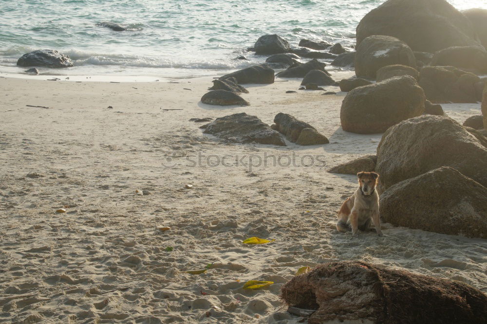 Similar – Foto Bild StrandStillLeben Erholung