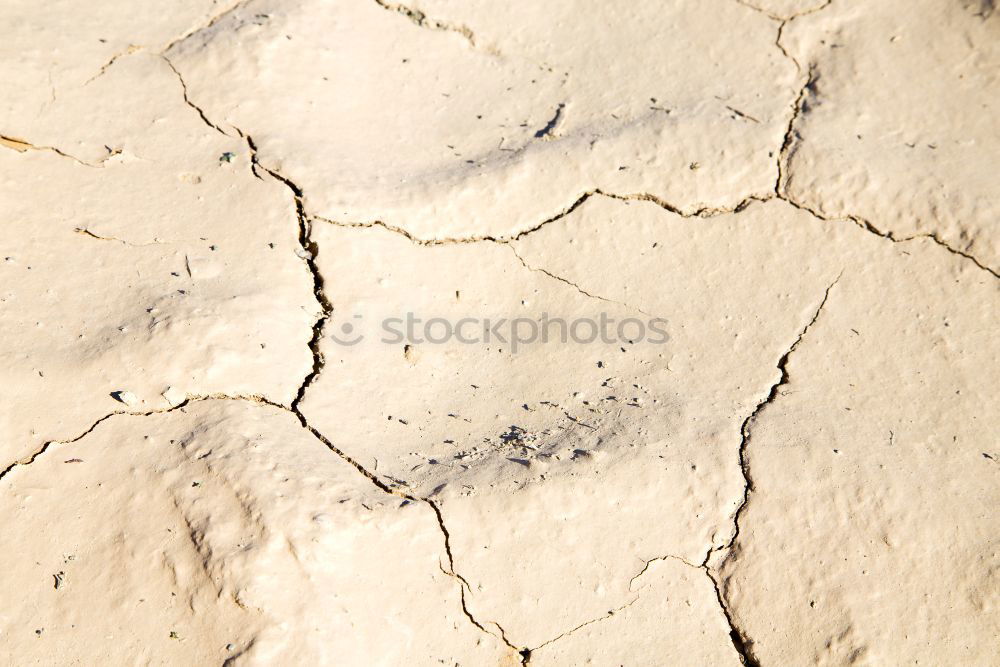 Similar – Image, Stock Photo Dried and cracked earth