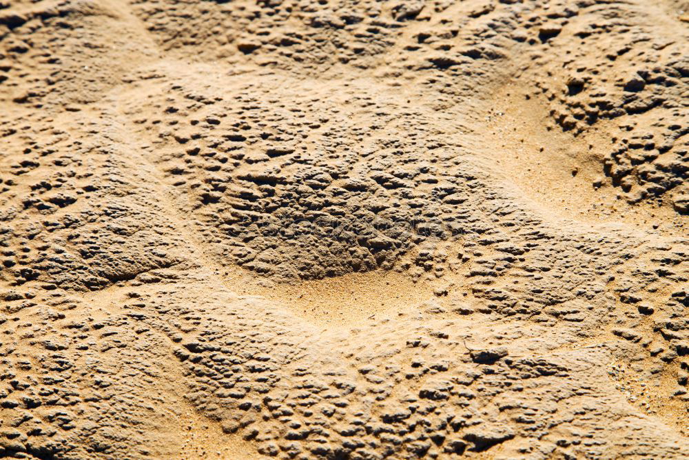 Image, Stock Photo the sahara morocco desert
