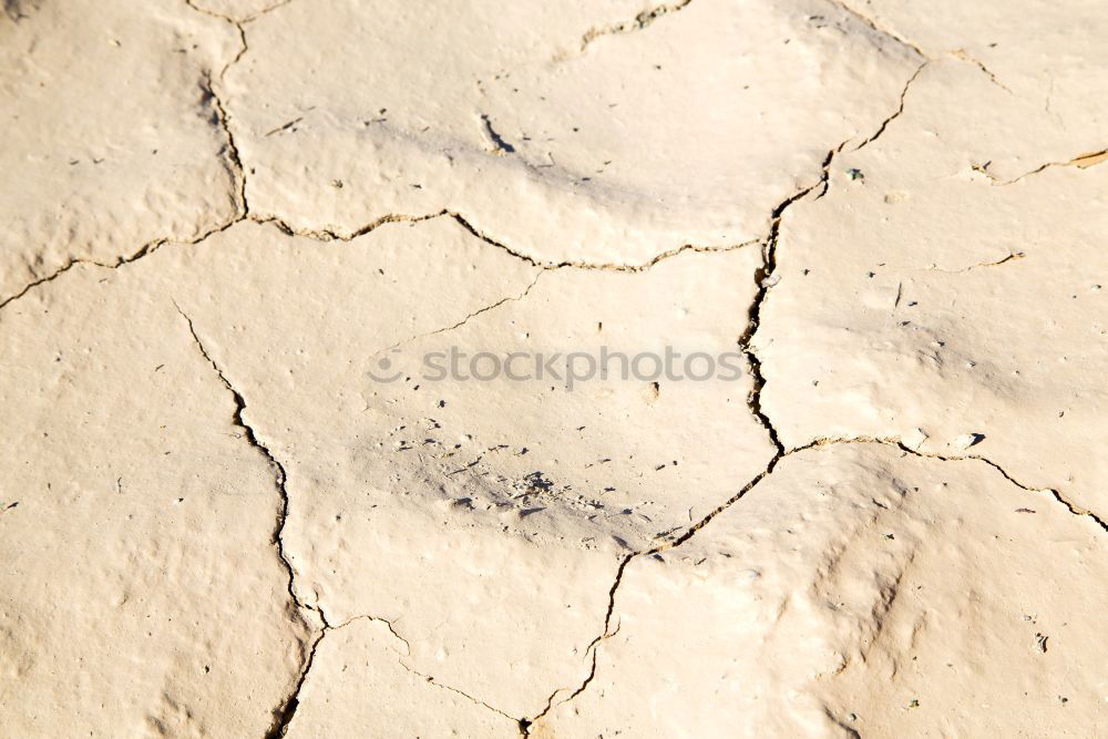Image, Stock Photo Dried and cracked earth