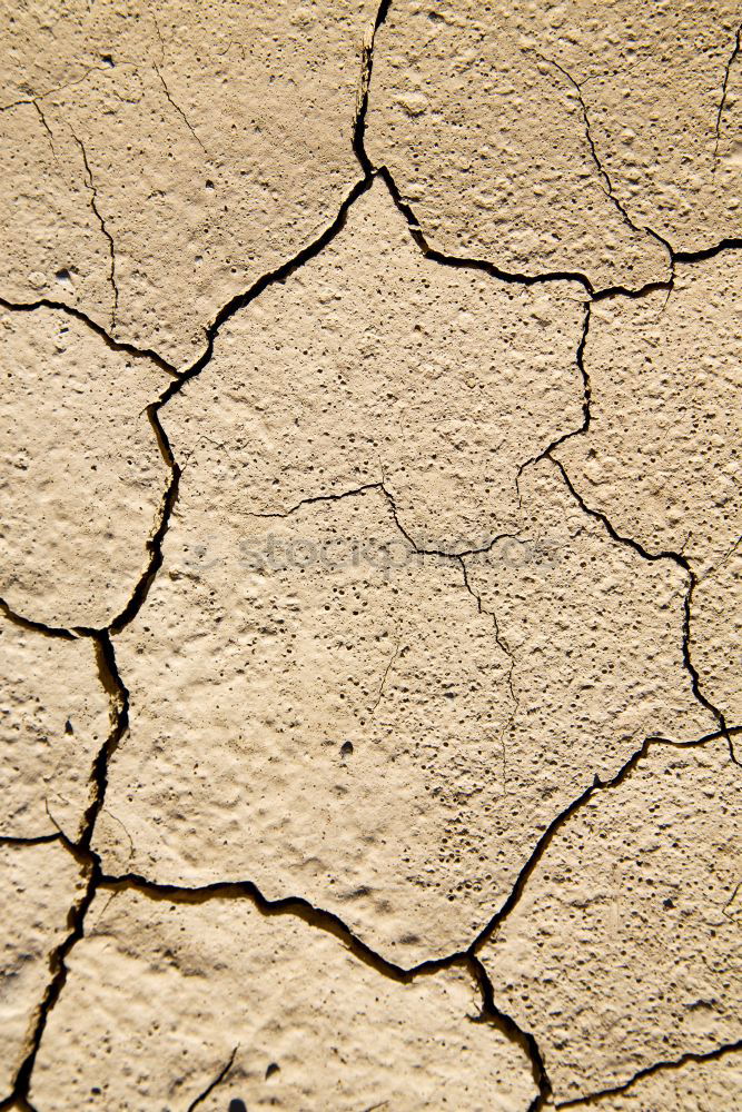 Similar – brown dry sand in sahara