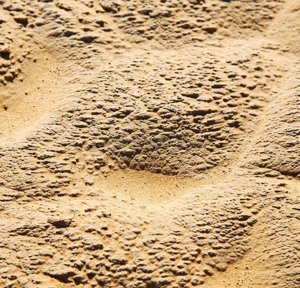 Similar – Image, Stock Photo the sahara morocco desert