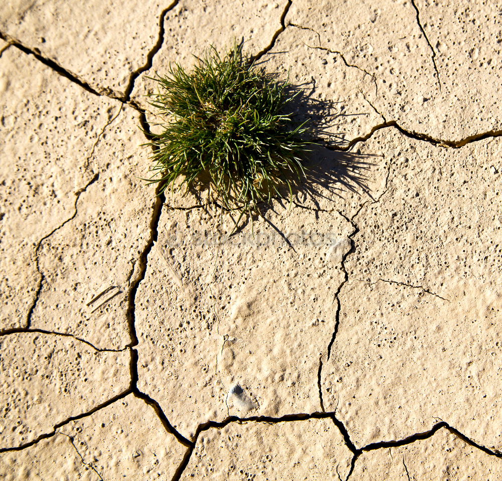 Similar – yellow tennis ball on the dessert ground