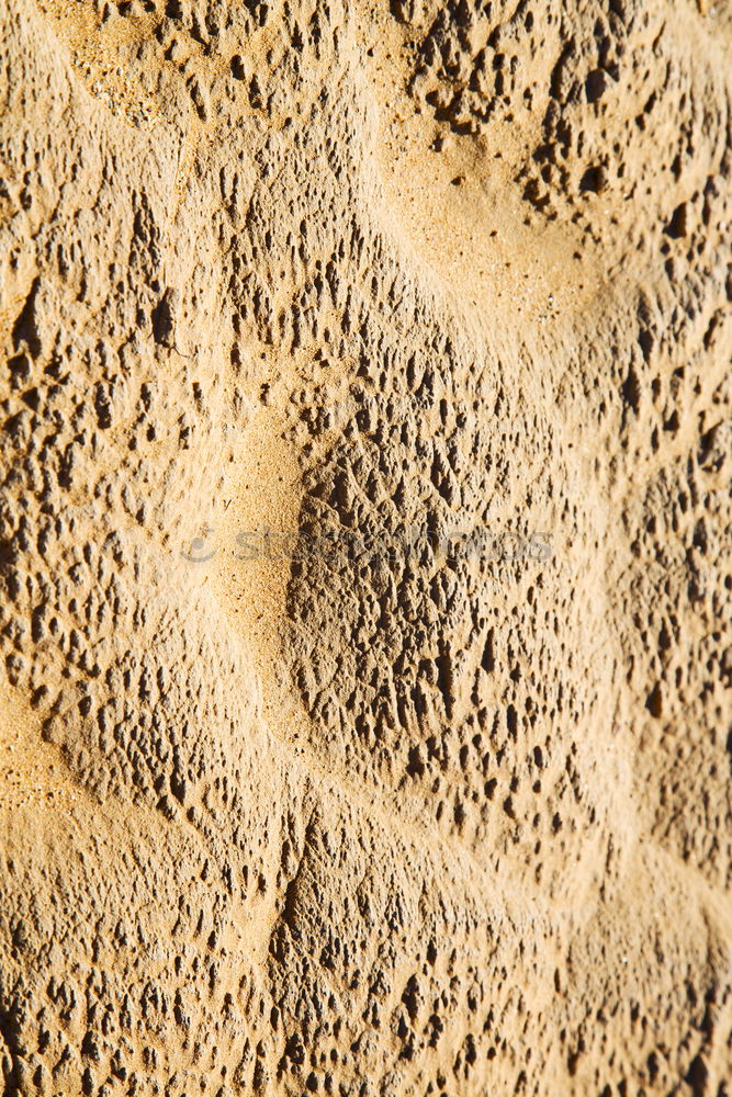Similar – Image, Stock Photo the sahara morocco desert