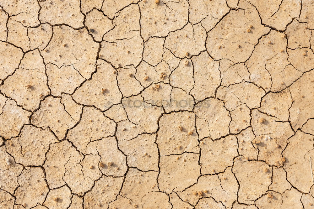 Similar – parched Dry Drought Loam