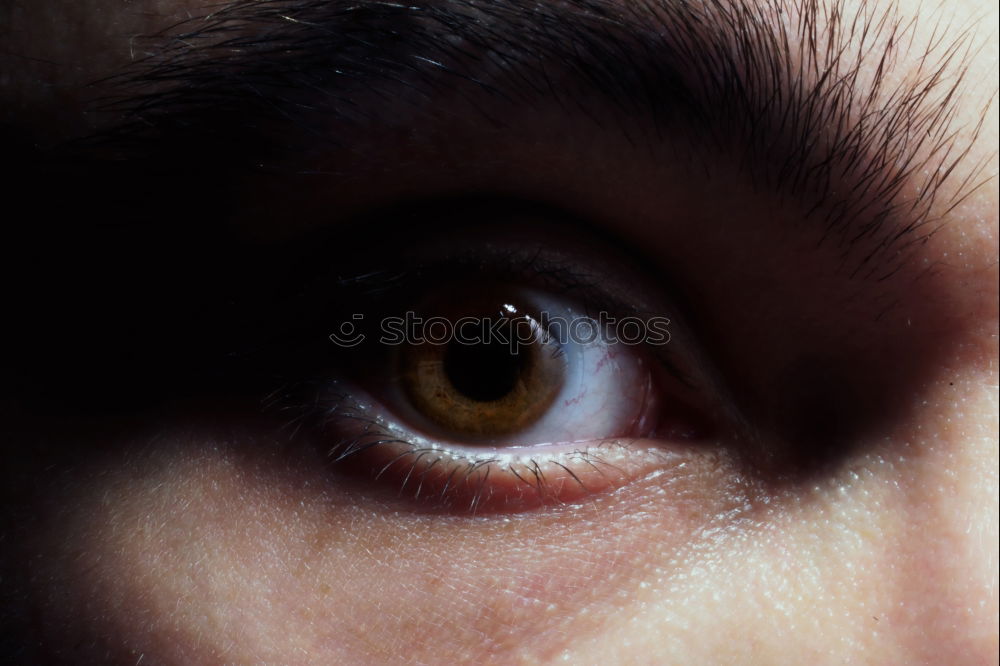 Similar – Image, Stock Photo Young man with piercing in the nose and full beard