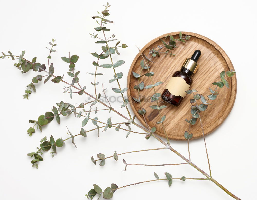 Similar – Image, Stock Photo herbarium Elegant Style