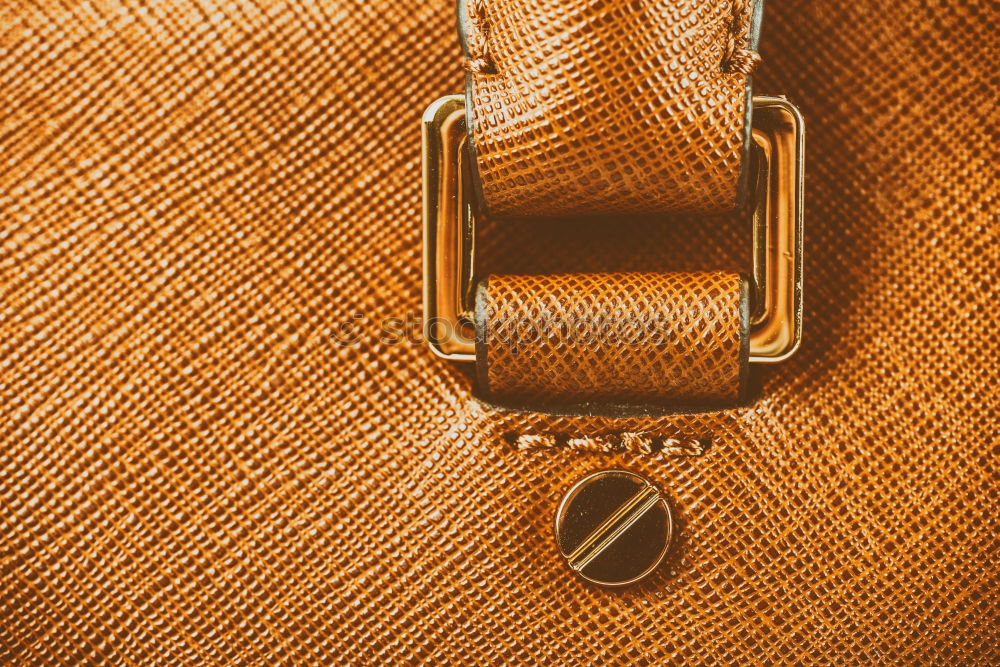 Similar – Image, Stock Photo Brown Leather Woman Bag Closeup