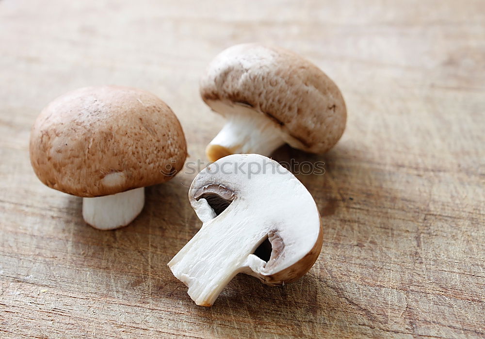 Fresh porcini mushrooms from the forest