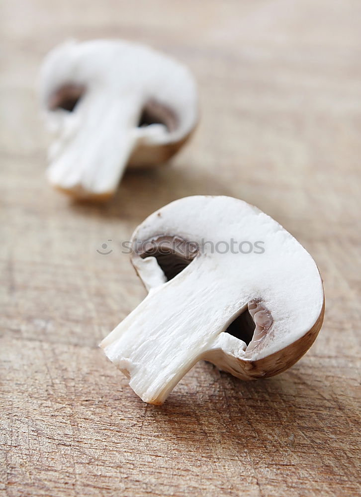 Similar – Foto Bild Pilz-Geschnipseltes
