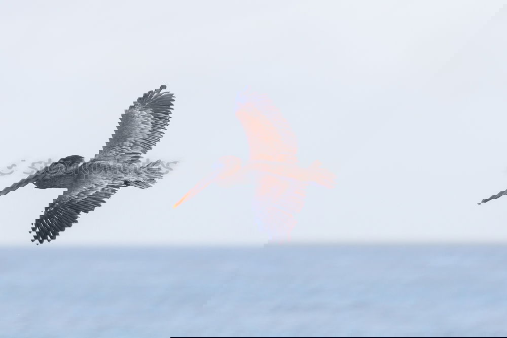 Similar – Foto Bild Herrliche Aussichten