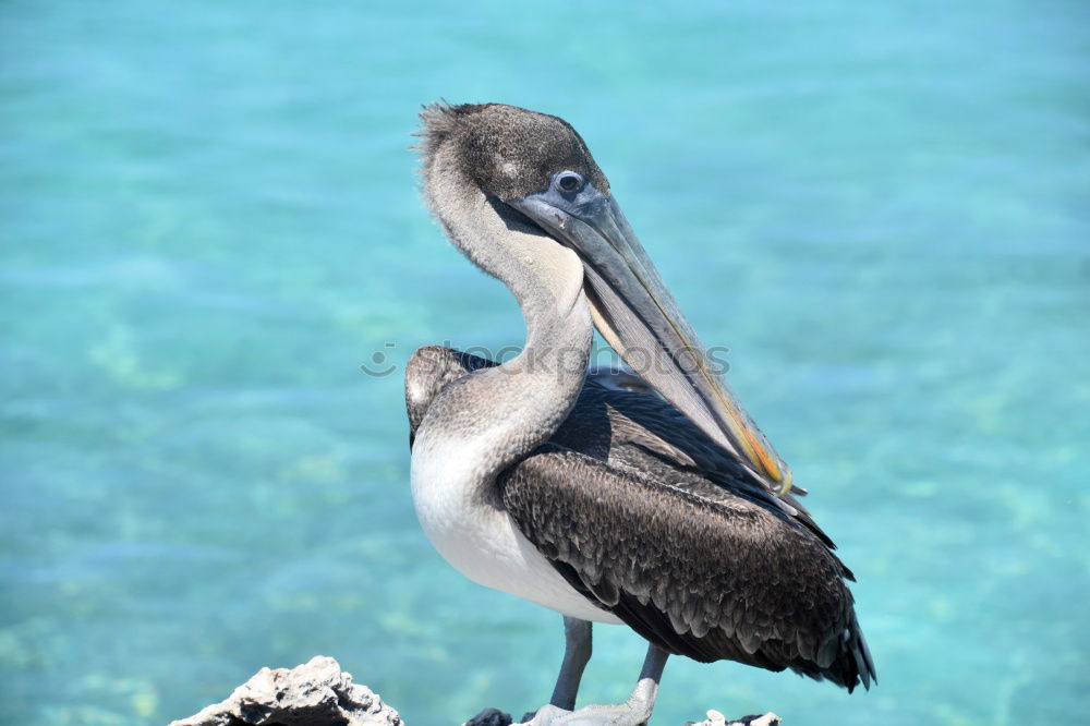 Similar – Foto Bild Herrliche Aussichten