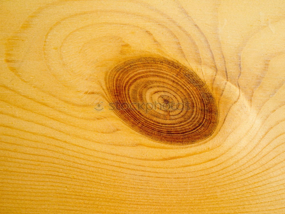 Similar – Image, Stock Photo Wood on wood Table