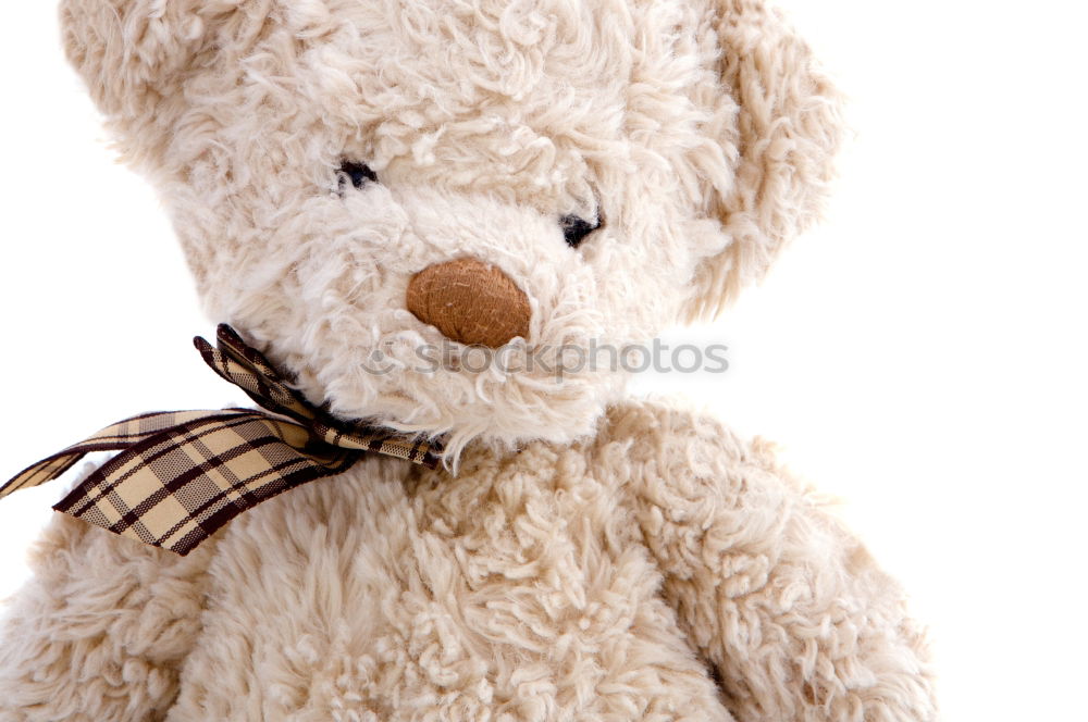 Similar – old teddy bear hanging on a clothesline