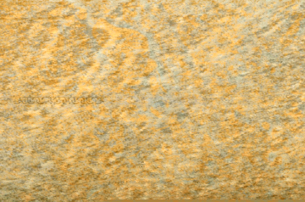 Similar – Image, Stock Photo in oman rub al khali old desert and the