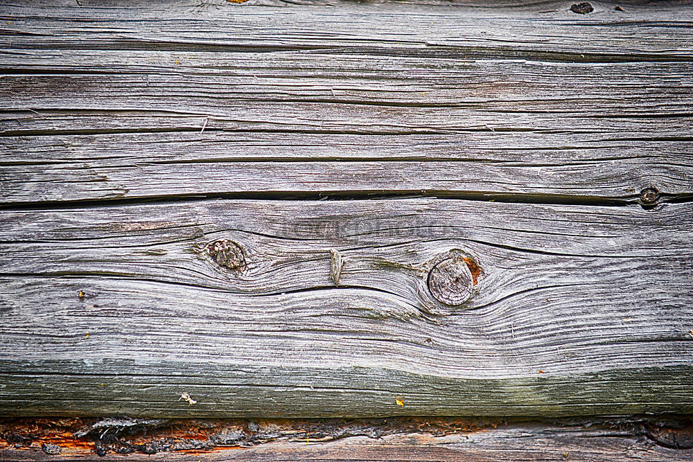 Similar – Image, Stock Photo frozen wood Environment