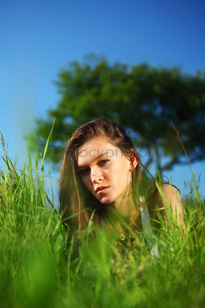 Similar – Sunbathing between blades of grass