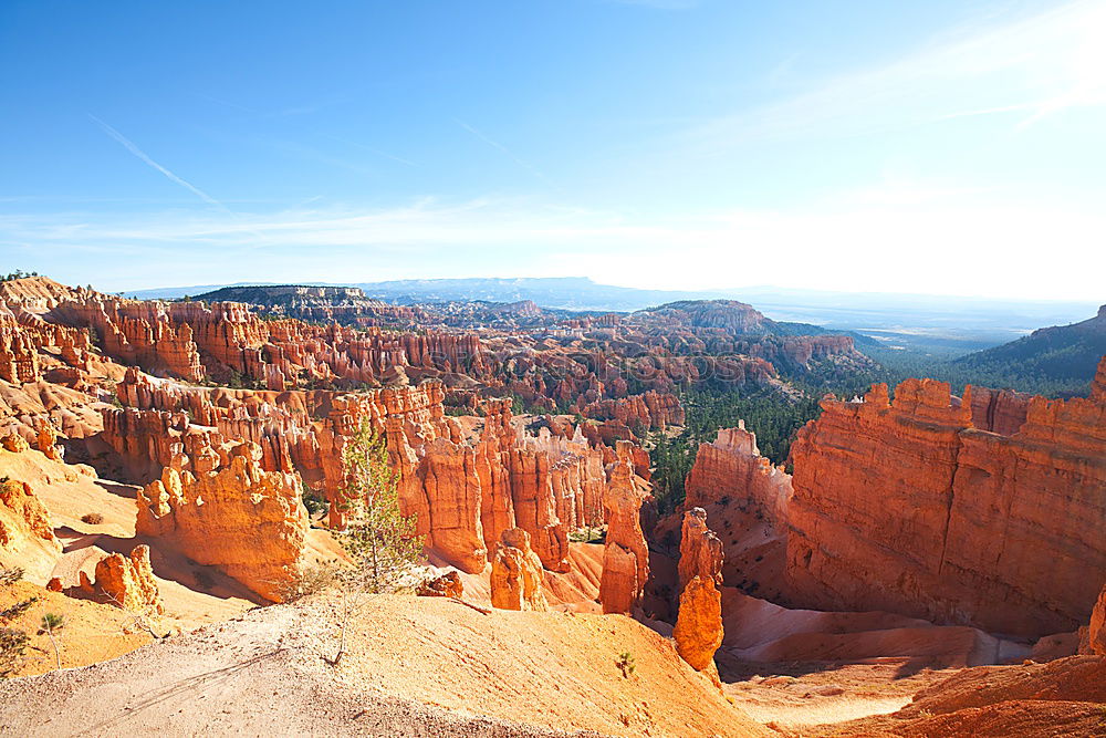 Similar – Bryce Canyon View