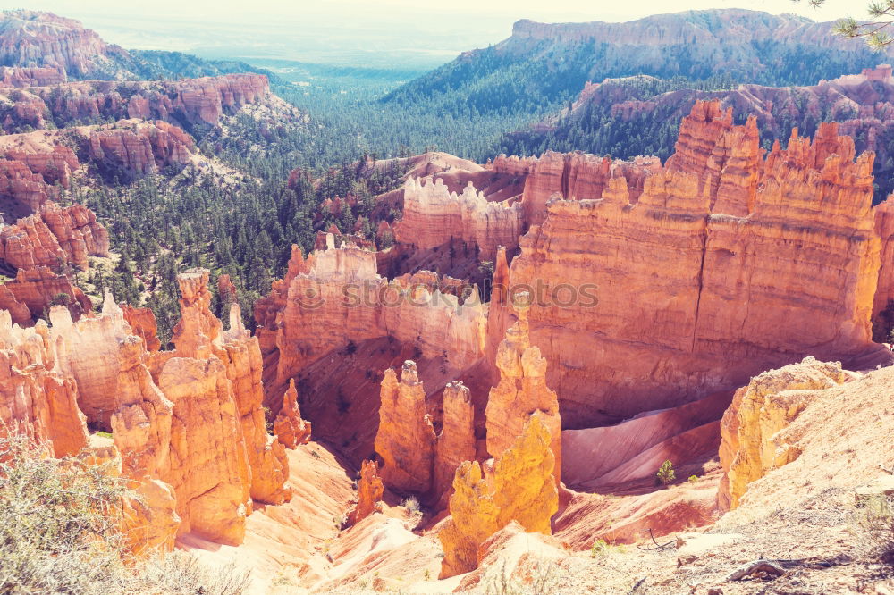 Similar – Bryce Canyon View