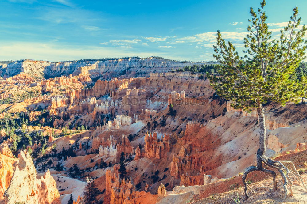 Similar – Image, Stock Photo Bryce Canyon Harmonious