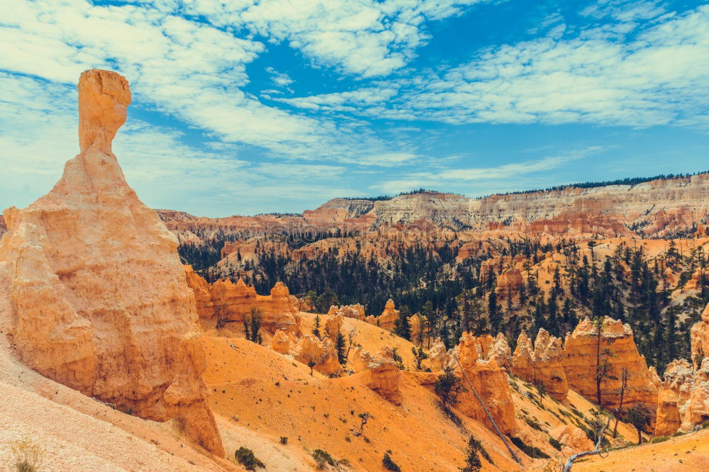 Bryce Canyon View