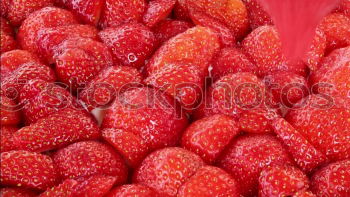 Similar – Strawberry IV Food Fruit