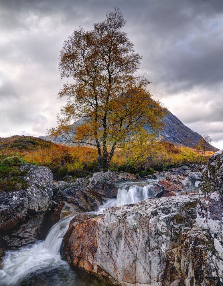 Similar – Image, Stock Photo View of the Geirangerfjord in Norway